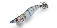 DTD