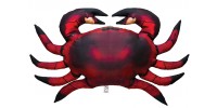 Morske životinje / Sea Animals