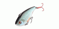 Glavinjare / Lipless