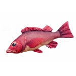 Gaby Atlantic Redfish / Bodečnjak