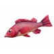 Gaby Atlantic Redfish / Bodečnjak