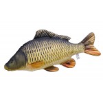 Gaby Common Carp / Šaran - ljuskaš