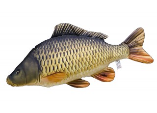Gaby Common Carp / Šaran - ljuskaš