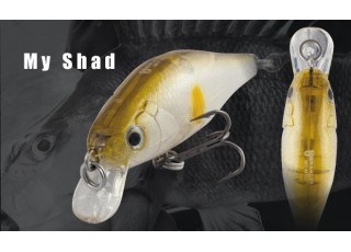 Herakles My Shad