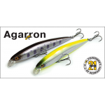 Pontoon21 Agarron