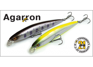 Pontoon21 Agarron