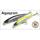 Pontoon21 Agarron