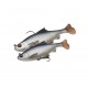 Savage Gear 3D Pulse Tail Roach 13 cm 38.5 gr