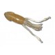 Bait Breath Ika Chu 1,8'' (4,5 cm)