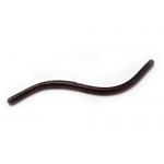Bait Breath Linber 5,5'' (14 cm)