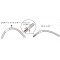 Bait Breath Linber 5,5'' (14 cm)