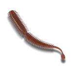 Bait Breath Lugy 3'' (7,5 cm)