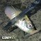 Bait Breath Lugy 3'' (7,5 cm)