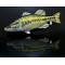 Gaby Largemouth Bass
