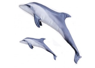 Gaby Bottlenose Dolphin / Delfin