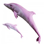 Gaby Pink Bottlenose Dolphin / Rozi delfin