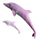 Gaby Pink Bottlenose Dolphin / Rozi delfin
