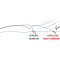 Duel Hardcore Heavy Minnow 90