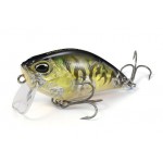DUO Realis Crank 50SSR Kabuki