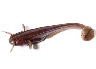 FishUp Catfish 5 cm