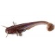 FishUp Catfish 5 cm