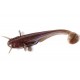 FishUp Catfish 7,5 cm