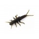 FishUp Stonefly 2,1 cm