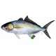 Gaby Amberjack / Gof