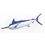 Gaby Black Marlin