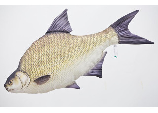 Gaby Common Bream / Deverika