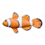 Gaby Clownfish / Riba klaun