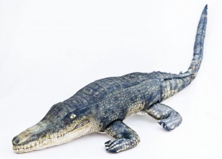 Gaby Crocodile / Krokodil