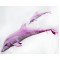 Gaby Pink Bottlenose Dolphin / Rozi delfin