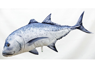 Gaby Giant Trevally