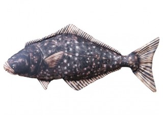 Gaby Halibut