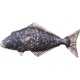 Gaby Halibut