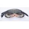 Gaby Mud Crab