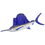Gaby Sailfish