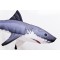 Gaby Great White Shark / Morski pas