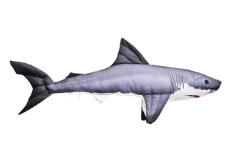 Gaby Great White Shark / Morski pas