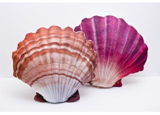 Gaby Scallop / Jakobova kapica