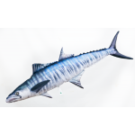 Gaby Spanish Mackerel