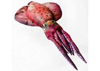 Gaby Squid / Lignja