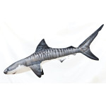 Gaby Tiger Shark / Morski pas tigar