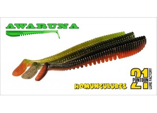 Pontoon21 Awaruna 2,5''