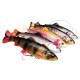 Savage Gear 4D Line Thru Pulsetail Trout 16 cm 51 gr SS