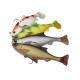 Savage Gear 4D Line Thru Pulse Tail Roach 18 cm 90 gr