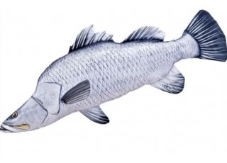 Gaby Barramundi