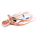 Mustad InkVader Octopus Jig 260 gr