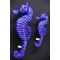 Gaby Seahorse / Morski konjic